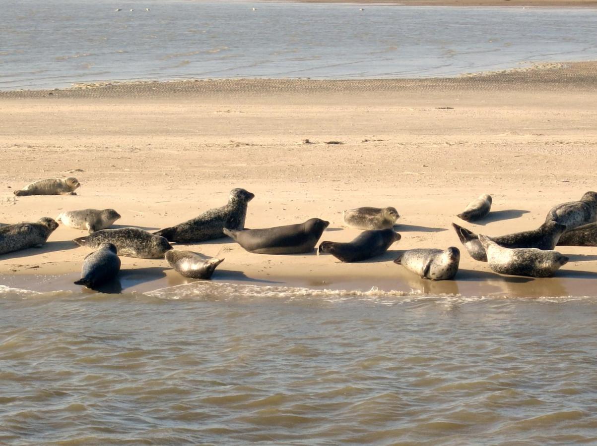 Huus Wattenmeer In Nessmersiel An Der Nordsee Dornum Exteriör bild